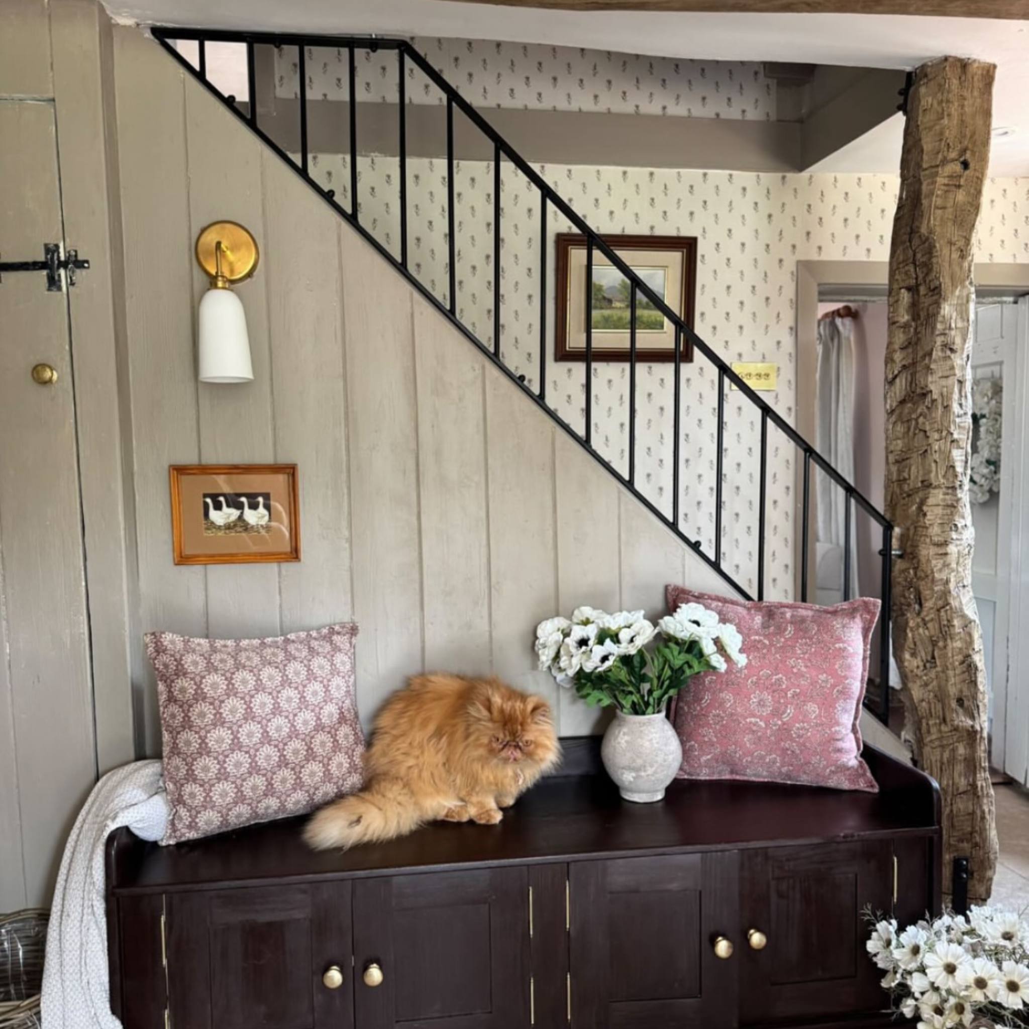 Plex Small Bone China Wall Light