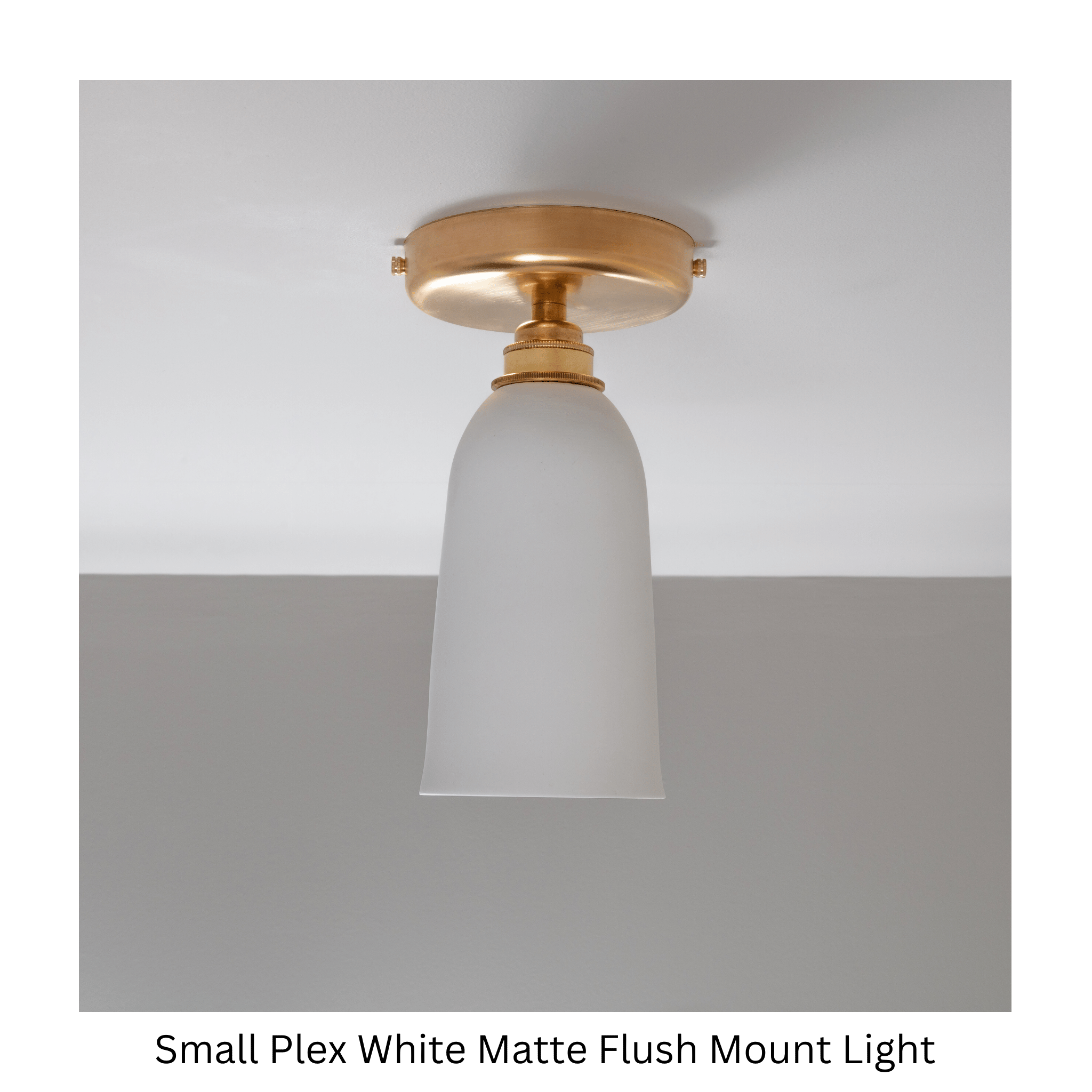 Small Plex Flush Mount Light
