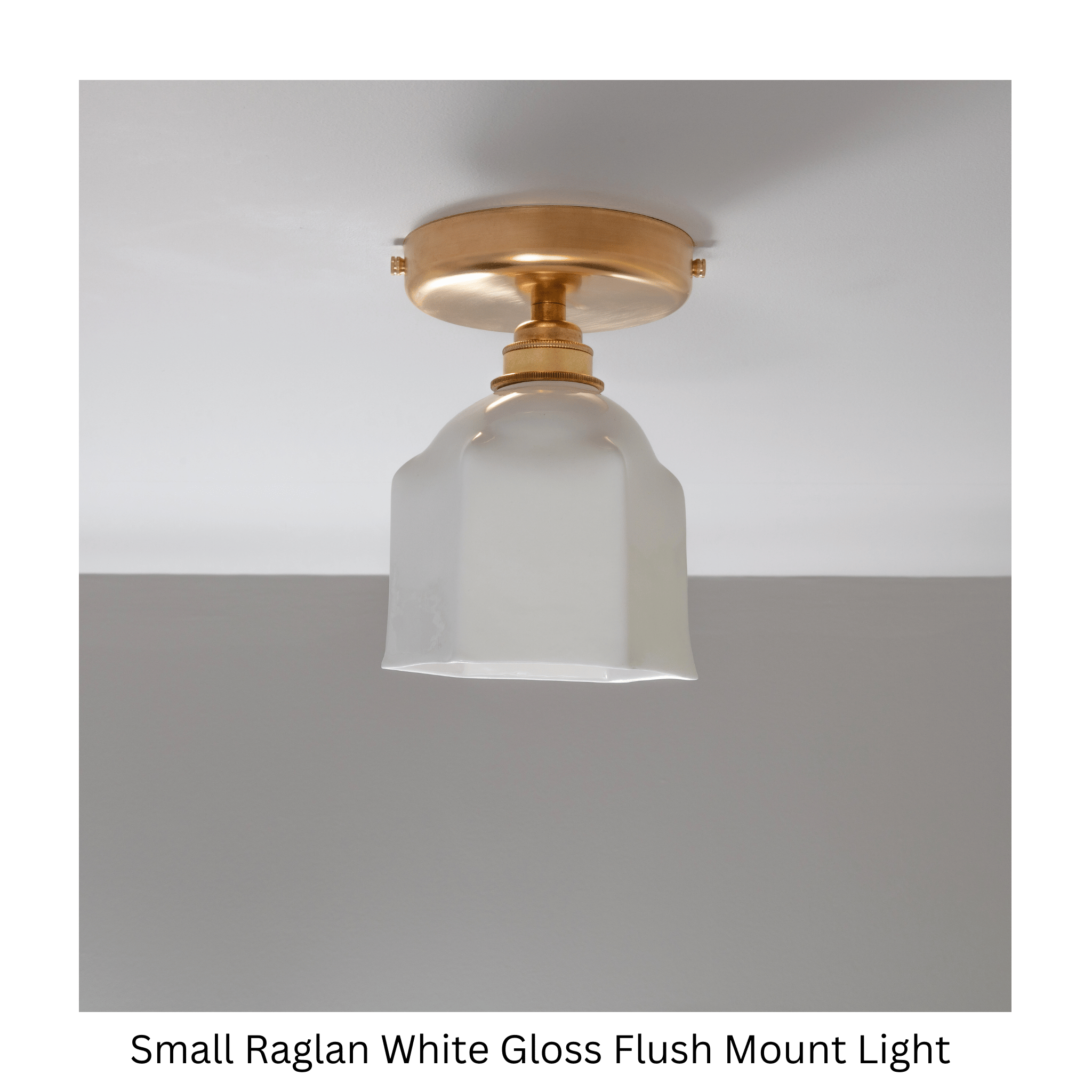 BATHROOM Raglan Flush Mount Light