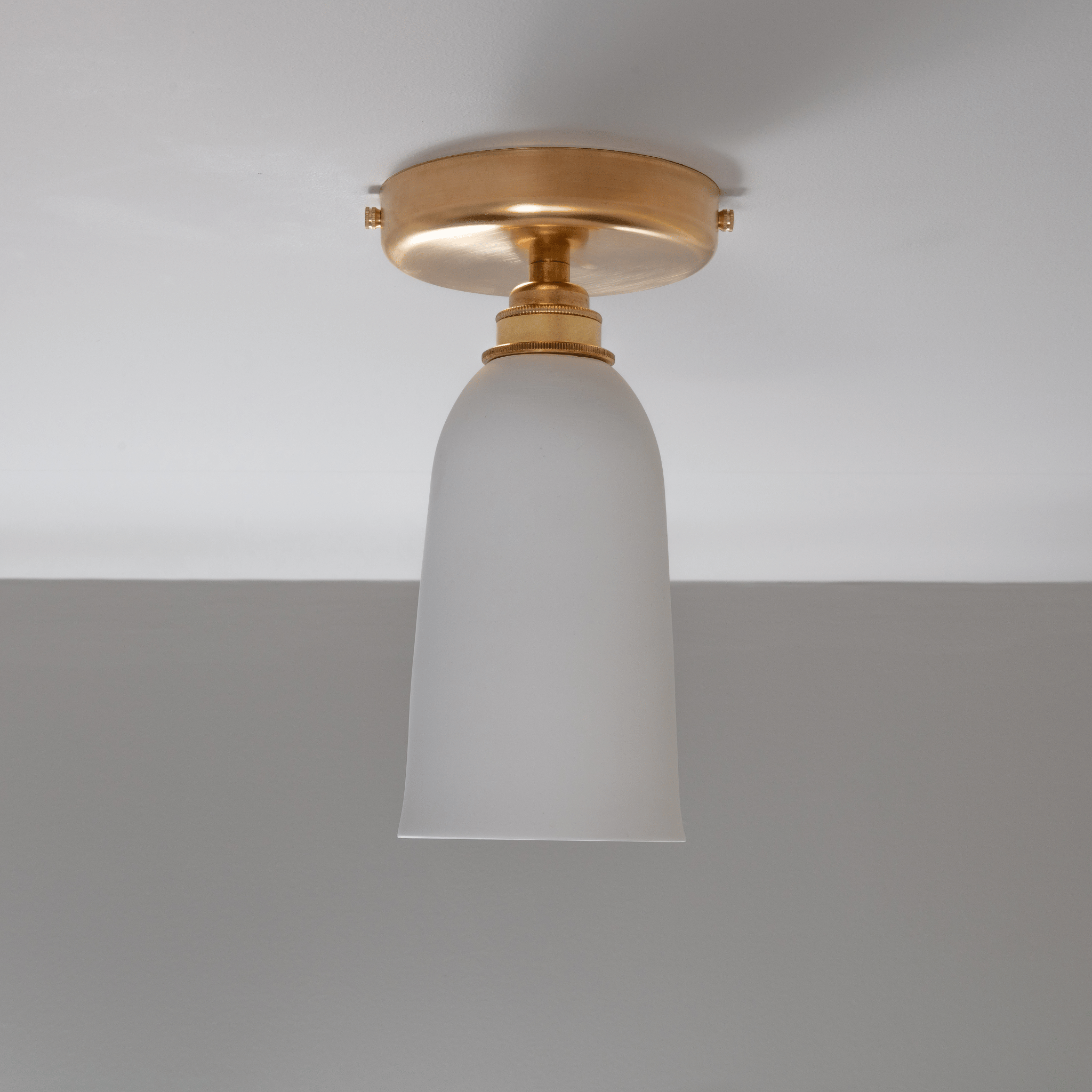 Small Plex Flush Mount Light