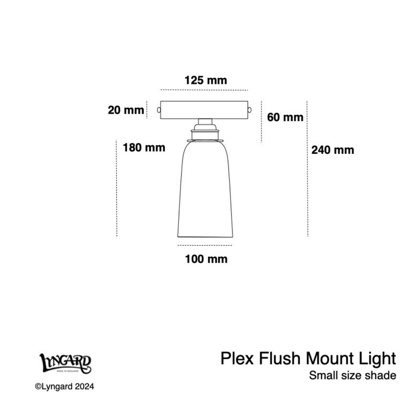 BATHROOM Small Plex Flush Mount Light specifications